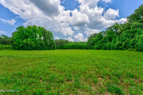 321 Mcclyde Rd, Como, MS 38619 photo 16