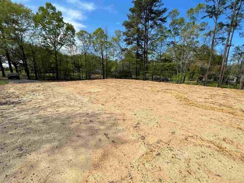 El Pine Drive, Pearl, MS 39208 photo 2