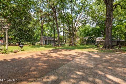 204 East St, Como, MS 38619 photo 34