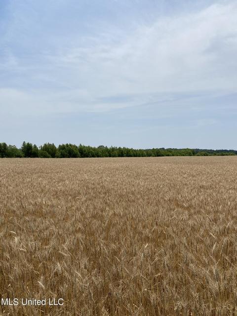 Grassy Lake Road Road, Charleston, MS 38921
