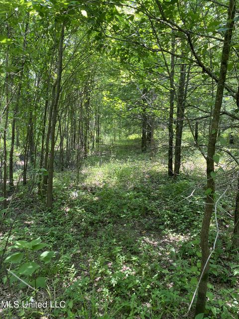 Grassy Lake Road Road, Charleston, MS 38921