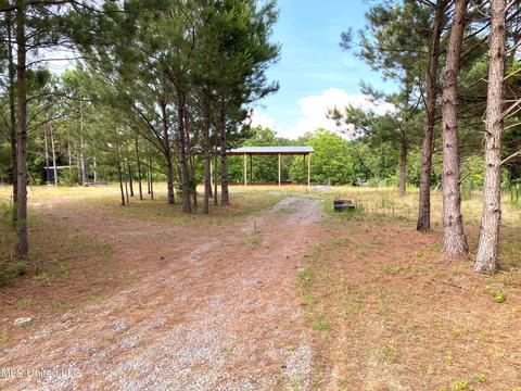 615 Purvis Rd, Walnut Grove, MS 39189 photo 3