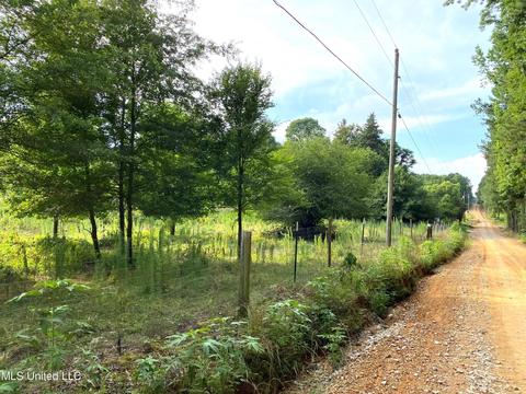 615 Purvis Rd, Walnut Grove, MS 39189 photo 4