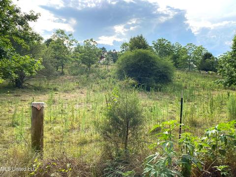 615 Purvis Rd, Walnut Grove, MS 39189 photo 6