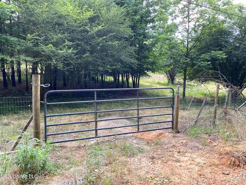 615 Purvis Rd, Walnut Grove, MS 39189 photo 5