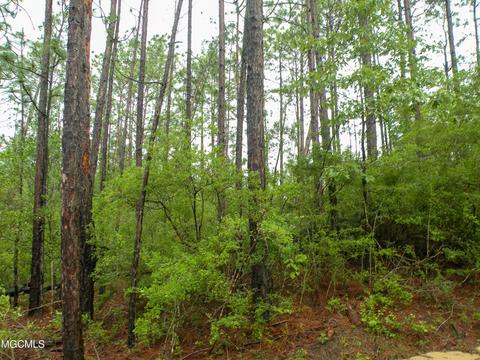 14 63 Ac Fwg Rd, Lucedale, MS 39452 photo 10