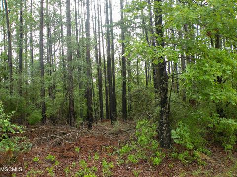 14 63 Ac Fwg Rd, Lucedale, MS 39452 photo 7