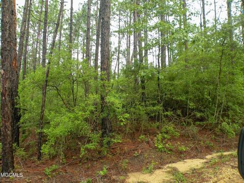 14 63 Ac Fwg Rd, Lucedale, MS 39452 photo 9