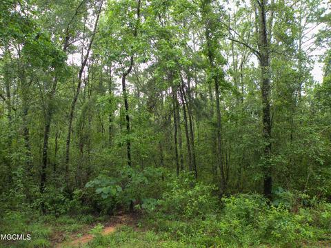 14 63 Ac Fwg Rd, Lucedale, MS 39452 photo 3