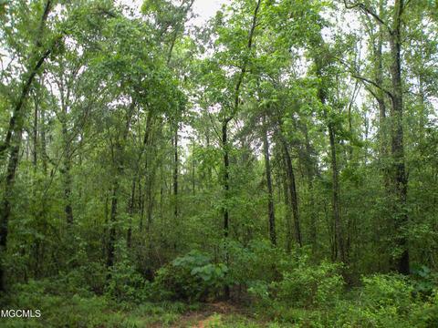 14 63 Ac Fwg Rd, Lucedale, MS 39452 photo 2