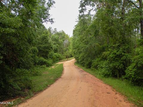 14 63 Ac Fwg Rd, Lucedale, MS 39452 photo 12