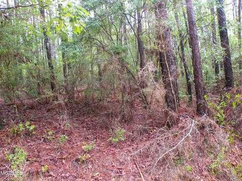 14 63 Ac Fwg Rd, Lucedale, MS 39452 photo 11