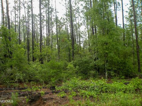 14 63 Ac Fwg Rd, Lucedale, MS 39452 photo 8