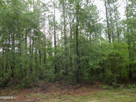 14 63 Ac Fwg Rd, Lucedale, MS 39452 photo 4