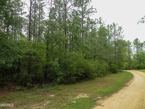 14 63 Ac Fwg Rd, Lucedale, MS 39452 photo 5