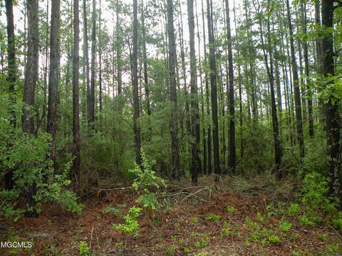 14 63 Ac Fwg Rd, Lucedale, MS 39452 photo 6