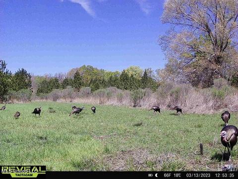 0002 Dudley Rd, Vicksburg, MS 39180