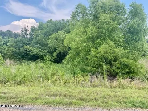O Swan Lk Drive, Coldwater, MS 38618