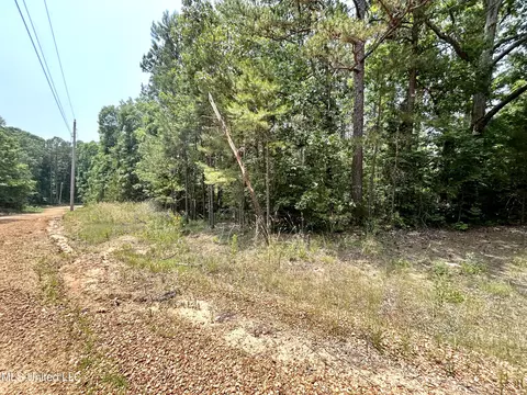 0 Baumann Rd, Hickory Flat, MS 38633 photo 3