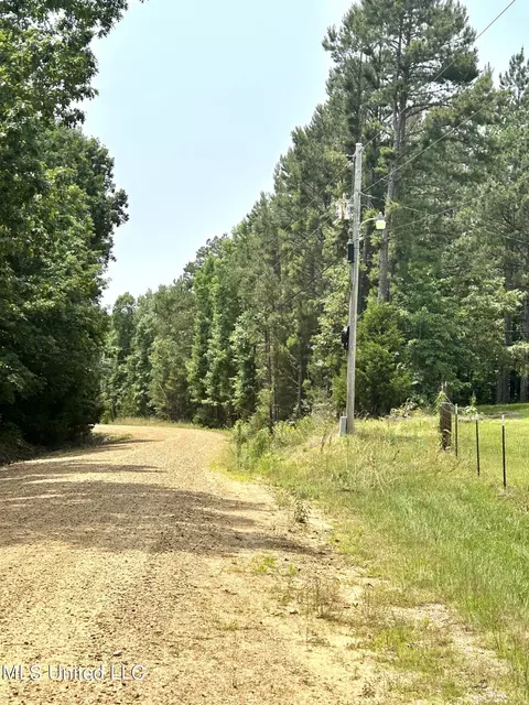 0 Baumann Rd, Hickory Flat, MS 38633 photo 5