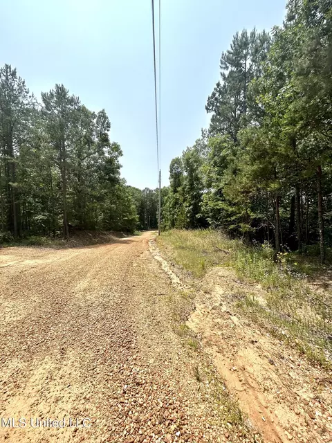 0 Baumann Rd, Hickory Flat, MS 38633 photo 4