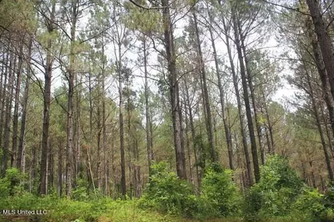 0 Baumann Rd, Hickory Flat, MS 38633 photo 6