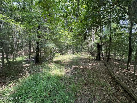 0 Bellemeade Dr, Clinton, MS 39056 photo 2