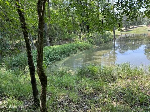 0 Bellemeade Dr, Clinton, MS 39056 photo 3