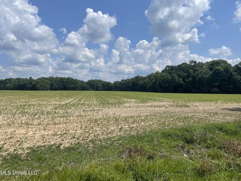 Heindl Road, Canton, MS 39046 photo 2