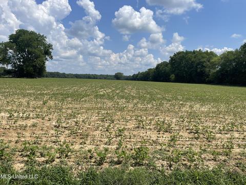 Heindl Road, Canton, MS 39046 photo 3