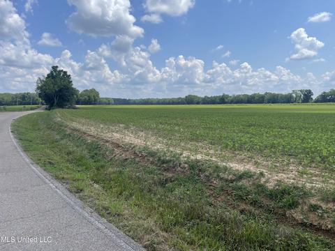 Heindl Road, Canton, MS 39046 photo 4