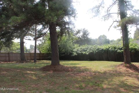 437 Treles Dr, Madison, MS 39110 photo 25