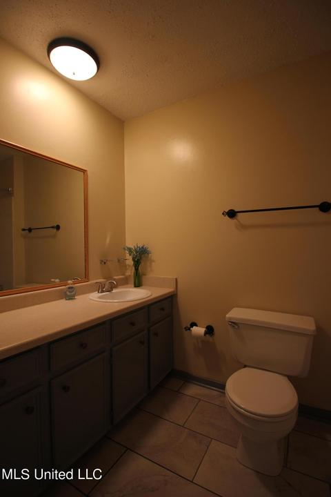 2323 Princess Pine Dr, Jackson, MS 39212 photo 16