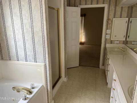 111 Pavilion Dr, Brandon, MS 39042 photo 8