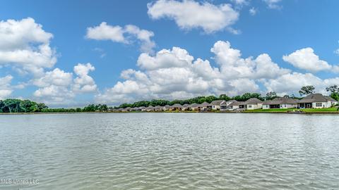 126 Camden Trl, Madison, MS 39110 photo 74