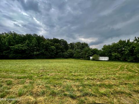 Rainbow Drive, Hernando, MS 38632 photo 5