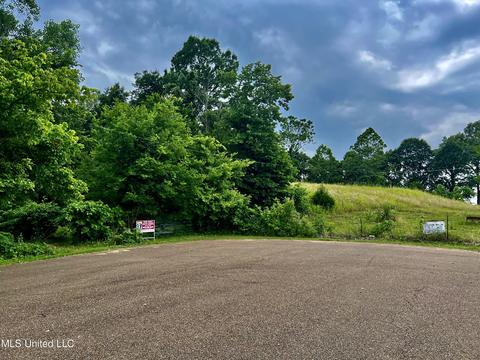 Rainbow Drive, Hernando, MS 38632 photo 9
