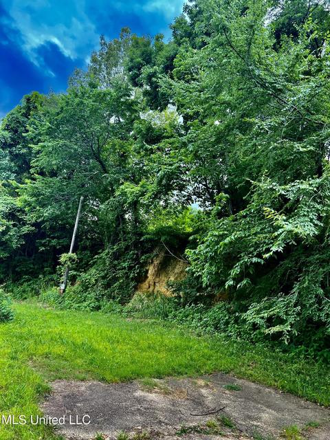 Rainbow Drive, Hernando, MS 38632 photo 8