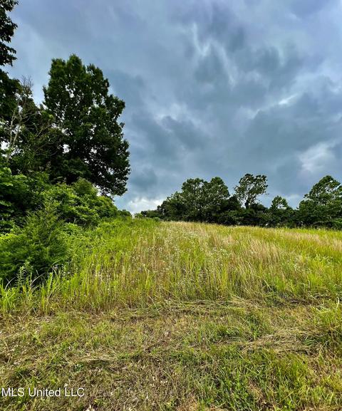 Rainbow Drive, Hernando, MS 38632 photo 6