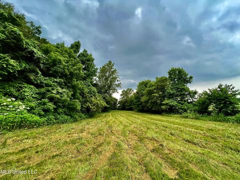 Rainbow Drive, Hernando, MS 38632 photo 3