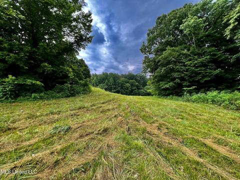 Rainbow Drive, Hernando, MS 38632 photo 2