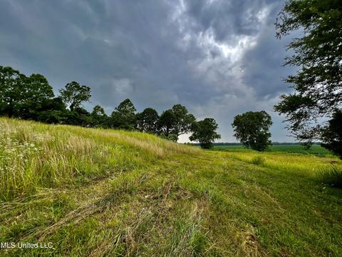 Rainbow Drive, Hernando, MS 38632 photo 7