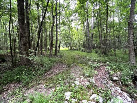 County Road 52, Vaiden, MS 39176 photo 20