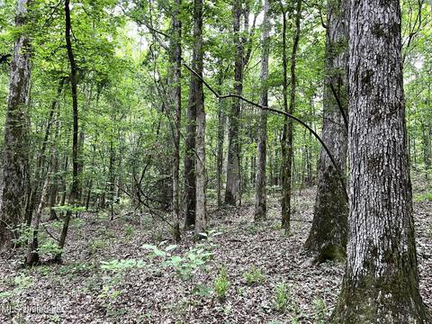 County Road 52, Vaiden, MS 39176 photo 27