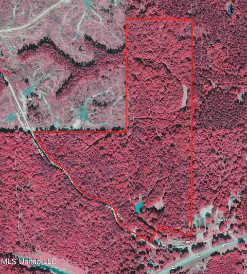 County Road 52, Vaiden, MS 39176 photo 37