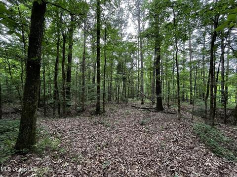 County Road 52, Vaiden, MS 39176 photo 10