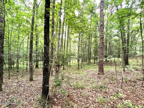 County Road 52, Vaiden, MS 39176 photo 8