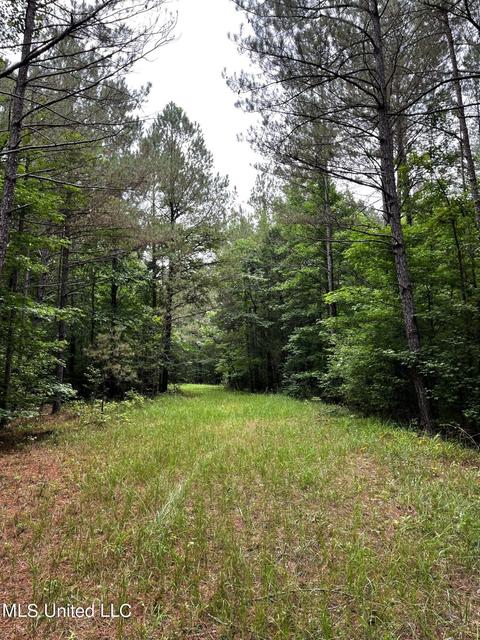 County Road 52, Vaiden, MS 39176 photo 23