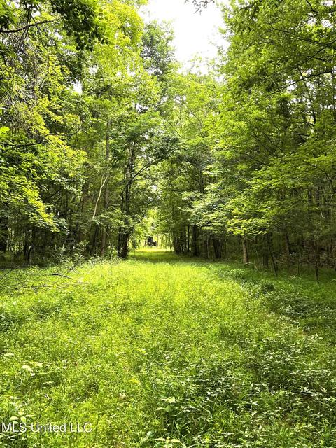 County Road 52, Vaiden, MS 39176 photo 11