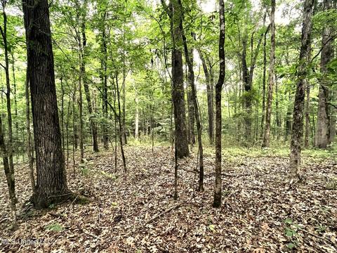 County Road 52, Vaiden, MS 39176 photo 3